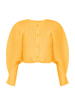 RIB PLEATS JANUARY