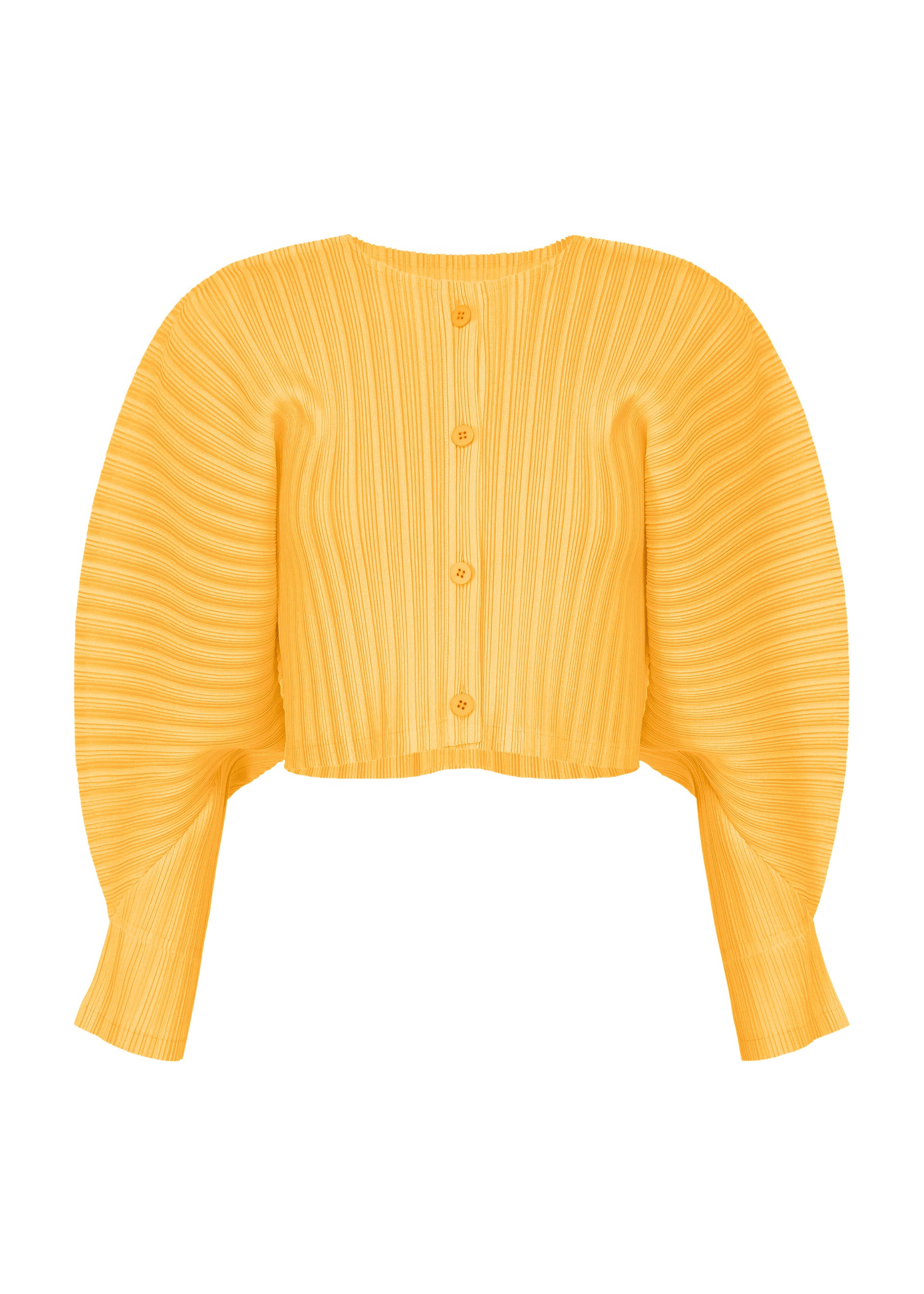 RIB PLEATS JANUARY、ウィメンズ_トップス_カーディガン、イエロー