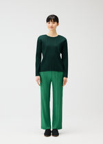 RAMIE PLEATS、ウィメンズ_トップス_トップ、着用画像1